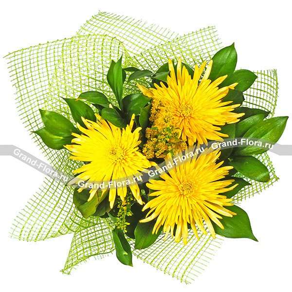 Летний ветер - букет из хризантем и декоративной зелени